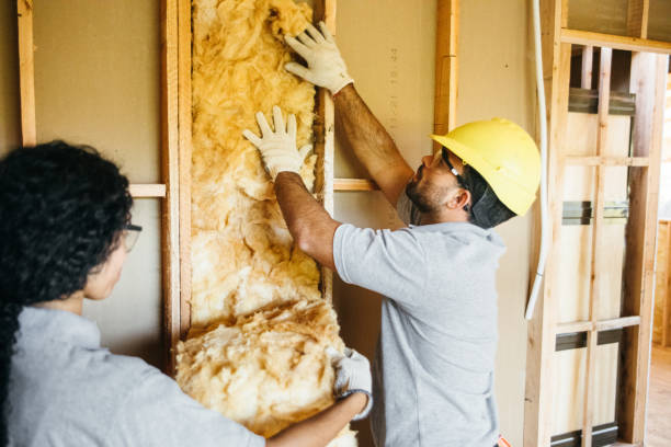 Best Insulation for New Construction  in USA